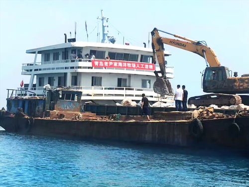 好海參好產地 青島老尹家海參國家級海洋牧場建設側記