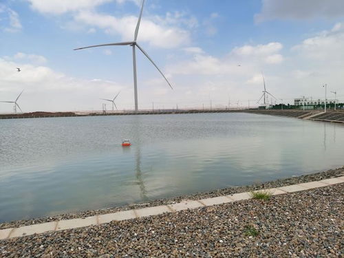 智慧漁業(yè) 水質(zhì)監(jiān)測守護(hù)藍(lán)色生態(tài)，協(xié)同飼料銷售驅(qū)動產(chǎn)業(yè)升級